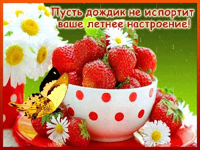 Вадим Красносельский: Я желаю всем здоровья, мира и благополучия. Пусть Бог  хранит каждого | Новости Приднестровья