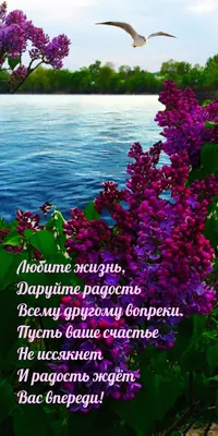 Картинки с надписью - Желаю, огромного счастья в новом году и крепкого  здоровья! .