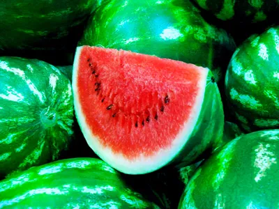 Вкусные рецепты из сочного плода: Всемирный день арбуза отмечают 3 августа