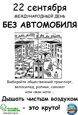 Всемирный день без автомобиля пройдет 22 сентября | Щучинская районная  газета Дзяннiца