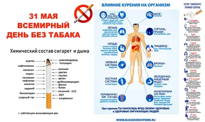 31 мая — Всемирный день без табака — Пензенский государственный университет