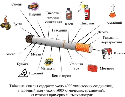 31 мая - Всемирный день без табака