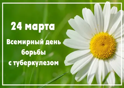 24 марта – Всемирный день борьбы с туберкулезом — Берестовица.  Берестовицкий район. Берестовицкая газета