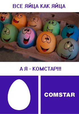 Сегодня во многих странах мира отмечают Всемирный день яйца - «Qazaqstan»  Ұлттық телеарнасы