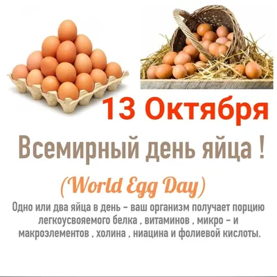 Всемирный день яйца - ПрофПлюс