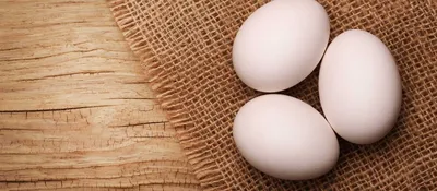 Всемирный день яйца 14 октября!