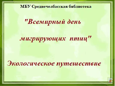 14 мая - Всемирный день мигрирующих птиц. Откуда на полуостров Крым  прилетают птицы?