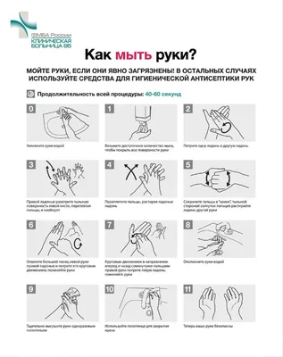 Всемирный день мытья рук отмечается каждый год 15 октября. |  |  Сосногорск - БезФормата