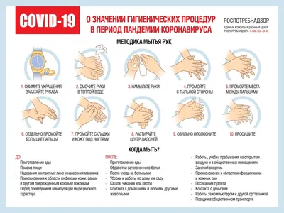 15 октября – Всемирный день чистых рук