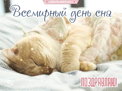 Всемирный день сна