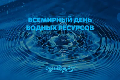 Конспект на тему «Всемирный день водных ресурсов»