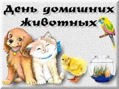 Человек, помоги мне!»: ко Всемирному Дню защиты животных 4 октября » МБУК  «Библионика» - городские библиотеки Великого Новгорода