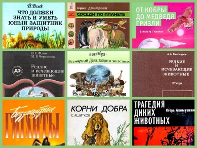 30 ноября – Всемирный день домашних животных - Российская Государственная  библиотека для слепых