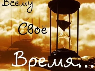 🌞🌟Всему своё время!💥🌞 | ПОЭЗИЯ И ФИЛОСОФИЯ ЖИЗНИ | Дзен