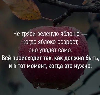 Всему свое время... | Поговорки со смыслом, Правдивые цитаты, Позитивные  цитаты