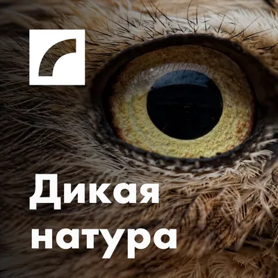 Фотовыставка “Сохраняя будущее: новый век” онлайн – Астраханский биосферный  заповедник