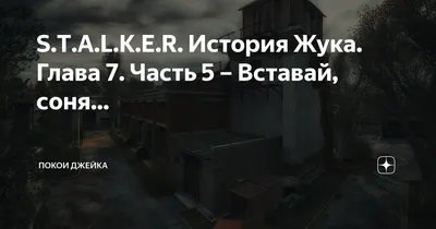 S.T.A.L.K.E.R. История Жука. Глава 7. Часть 5 – Вставай, соня... | Покои  Джейка | Дзен