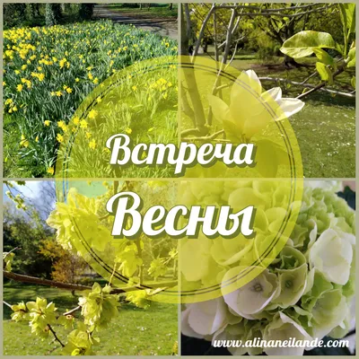 Встреча весны (88 фото) - 88 фото