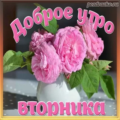 💕💕💕С Добрым Утром!💕💕💕 ПРИВЕТ, вторник! УДАЧНОГО ДНЯ и ХОРОШЕГО  НАСТРОЕНИЯ💕💕💕 - YouTube