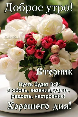 Доброе утро Вторника! 🌹❤️🌹❤️🌹💝🌹💝🌹 | Доброе утро, Вторник, Открытки