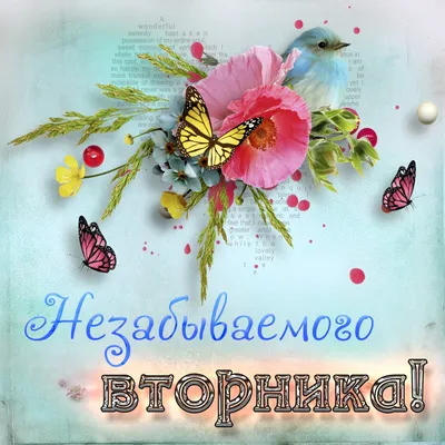 Позитивные открытки про вторник | Пикабу