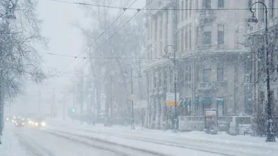 Киев замело в первый день зимы - Новости на 