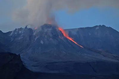 Десятки туристов погибли при извержении вулкана в Новой Зеландии -  Российская газета