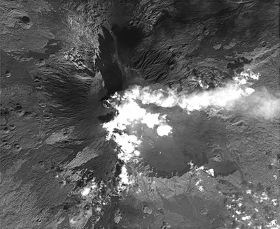 Извержение вулкана Шивелуч на Камчатке: фото и видео -  - НГС