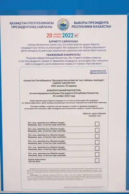 Выборы – это аукцион". Чему научат выборы 2023 года кандидатов и  избирателей | 