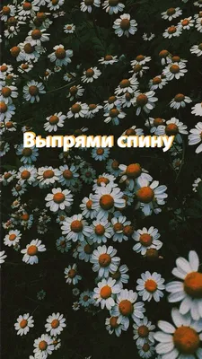 Выпрями спину! | Пикабу