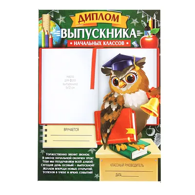 Диплом об окончании нач. школы 63,461,00 — купить в городе Воронеж, цена,  фото — КанцОптТорг