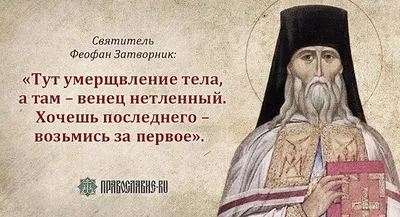 Старчество. Мысли Святых Отцов о необходимости и пользе старческого  руководства в духовной жизни - купить с доставкой по выгодным ценам в  интернет-магазине OZON (367888078)