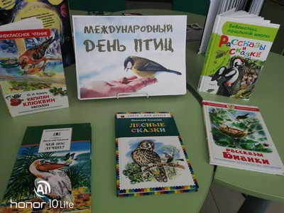 Выставка детских работ, посвященных международному Дню птиц (8 фото).  Воспитателям детских садов, школьным учителям и педагогам - Маам.ру