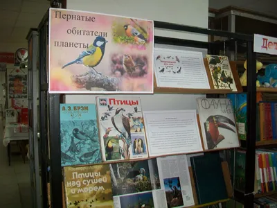 Лекция и выставка Необычные птицы - Атлас птиц Уфы