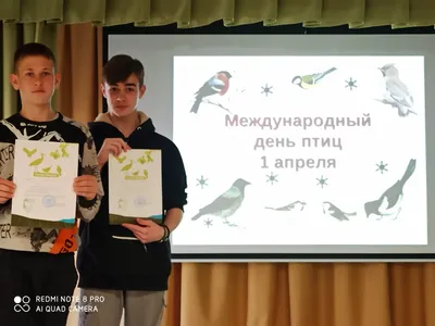 Акция "День птиц - 2021" - Ошколе.РУ