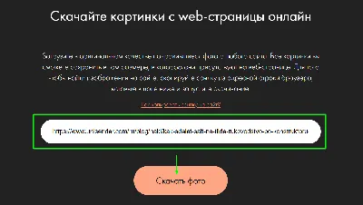 Как легко скачивать любые картинки в интернете