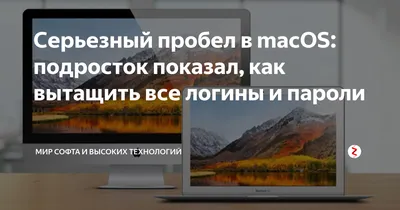 Серьезный пробел в macOS: подросток показал, как вытащить все логины и  пароли | Мир софта и высоких технологий | Дзен