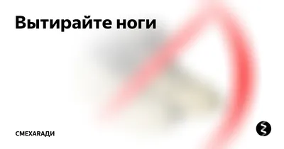 27 июня новое здание Тульского экзотариума вновь откроется - Новости Тулы и  области - 