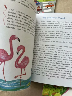 Суровую птицу, прячущую свою ногу, заметили в Астрахани |  |  Астрахань - БезФормата
