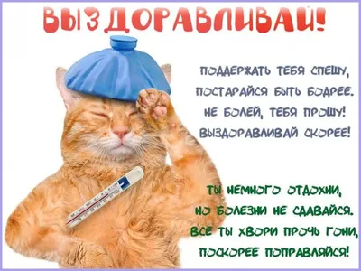 Открытка Выздоравливай. Ты болезни не сдавайся, поскорее поправляйся!