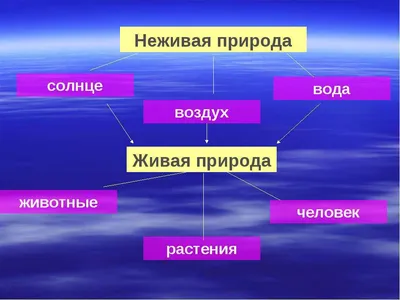 Используя различные источники информации подберите рисунок фотографии  иллюстрирующие взаимосвязь - Школьные Знания.com