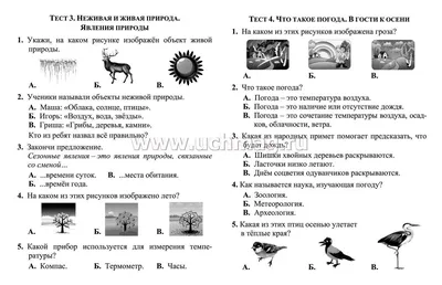 Связь живой и неживой природы (48 фото) - 48 фото