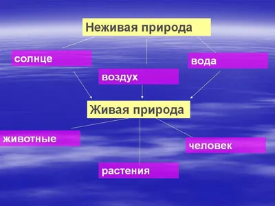 Окружающий мир - задания для 2-ого класса