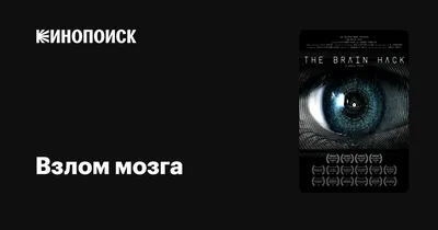 Взлом роста: Как ускорить развитие продукта и масштабировать бизнес / Книги  про бизнес и менеджмент / Денис Мартынцев | Мартынцев Денис - купить с  доставкой по выгодным ценам в интернет-магазине OZON (273451542)