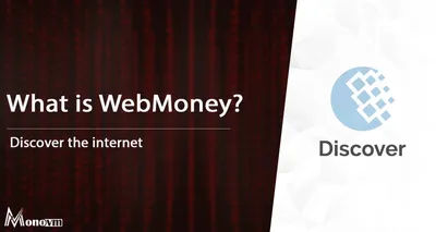 WebMoney Logo and symbol, meaning, history, PNG, brand