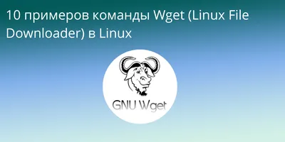 wget для Windows