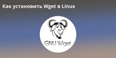 Как установить Wget в Linux. Полное пошаговое руководство.