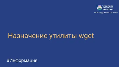 Linux: 10 примеров использования wget