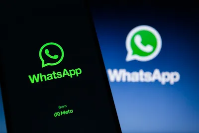 WhatsApp: So leicht blockieren Sie unerwünschte Kontakte - Berliner  Morgenpost