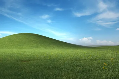 Iconic Windows XP background is photo of Sonoma County hillside - ABC7 San  Francisco